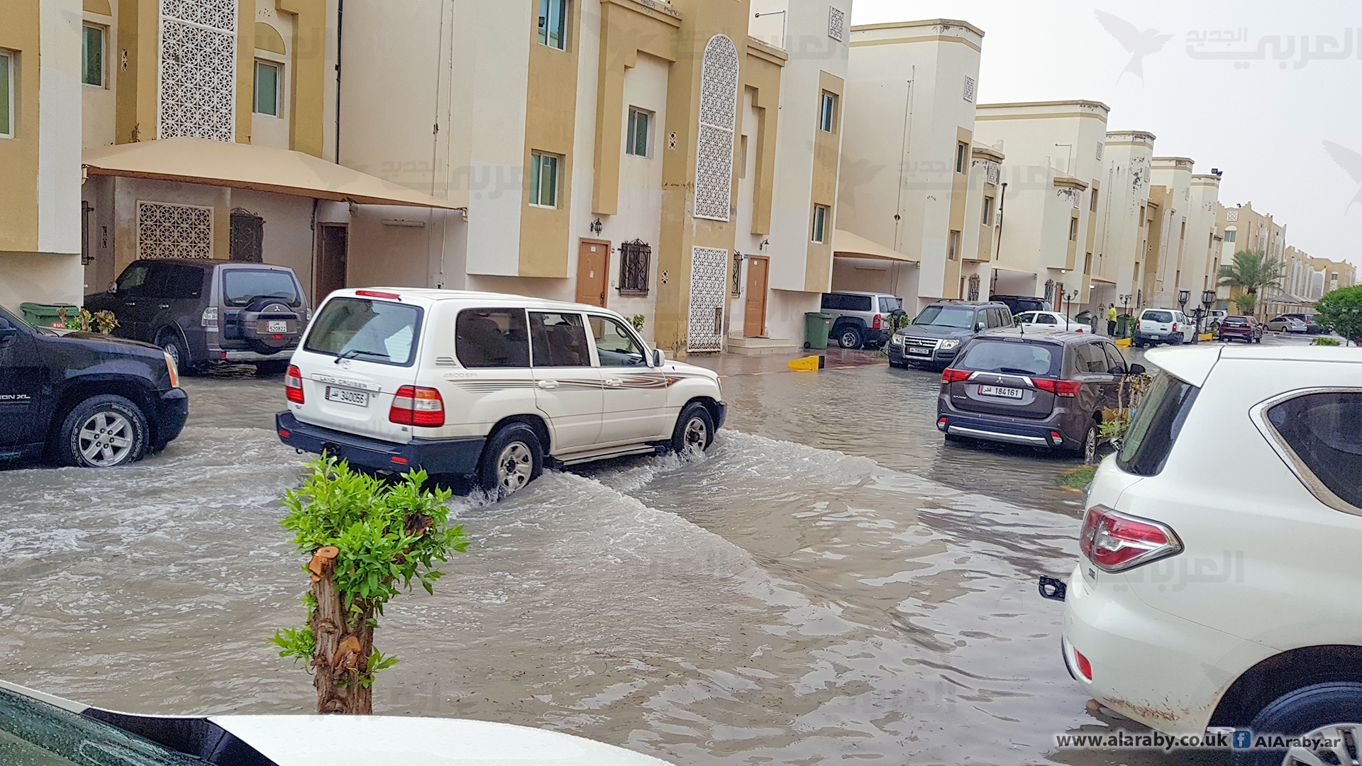 اتبع هذه النصائح  عند القيادة في الأجواء الماطرة للحفاظ على حياتك