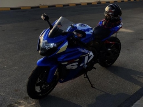 Suzuki GSX-R 1000   2015