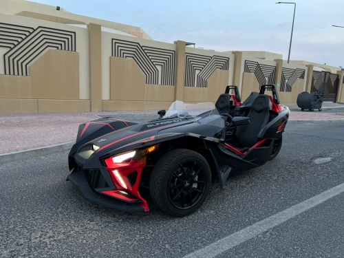 Polaris  Sling... 2020