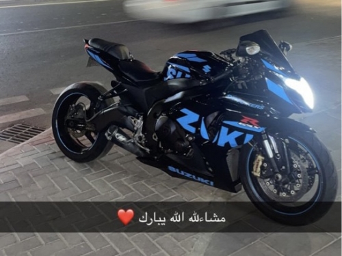 Suzuki GSX-R 1000   2014