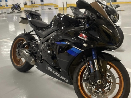 Suzuki GSX-R 1000   2017