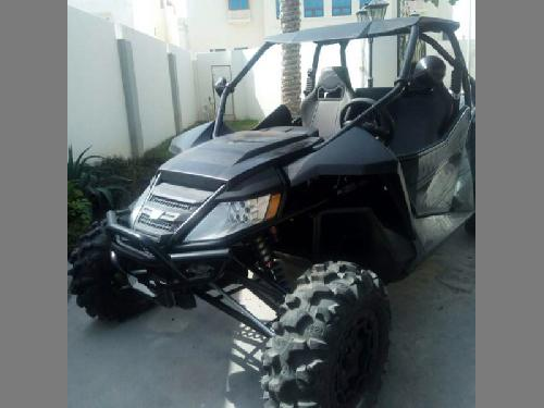 Buggy  ARCTIC CAT 