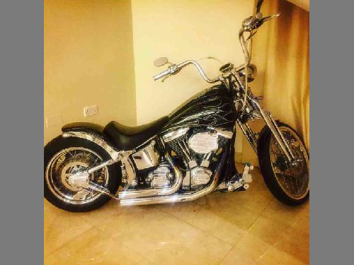 Harley Davidson  Softail  