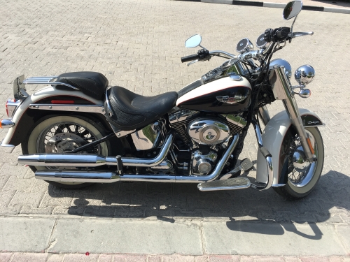 Harley Davidson  Softail Delux  