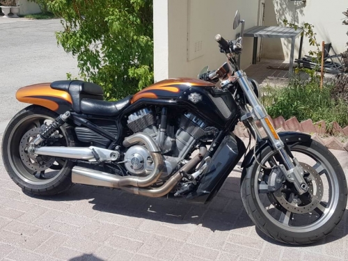 Harley Davidson  V-Rod Muscel  