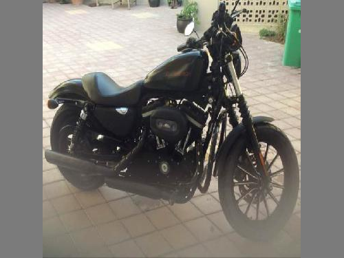 Harley Davidson  Super Low 883 