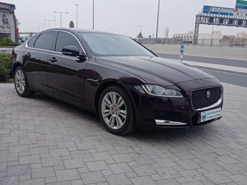 Jaguar XF  2019