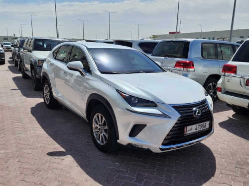 Lexus NX 300 2021