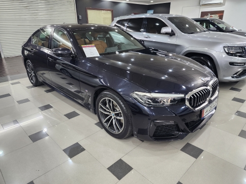 BMW 5-Series 520 Li 2021