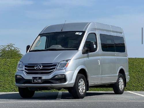 Maxus V80 