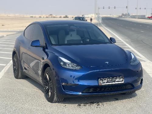 Tesla Model Y Performance 