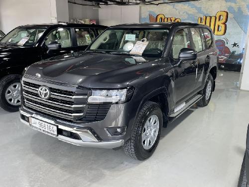 Toyota Land Cruiser Standard