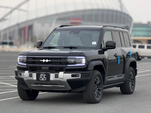 بي واي دي ... 2025