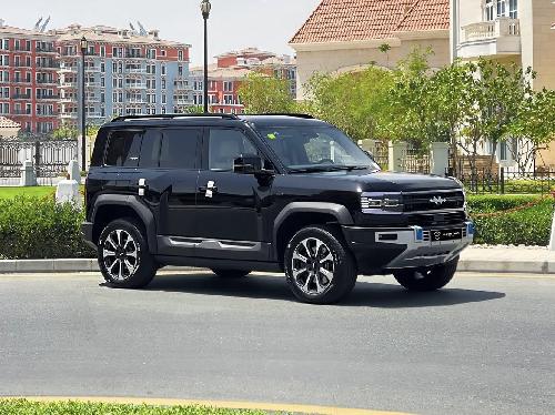 بي واي دي  ليوبارد 